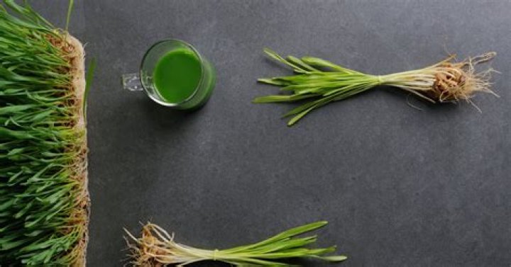 What does wheatgrass do to your body?