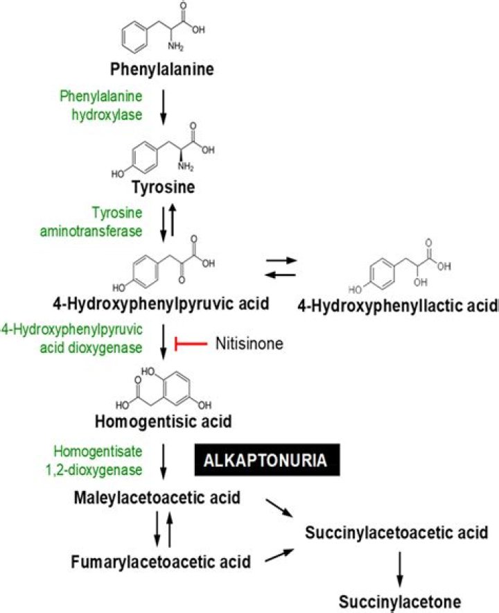 What enzyme is involved in alkaptonuria?