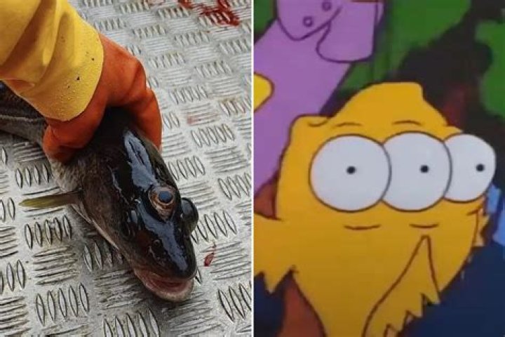 What episode of The Simpsons has the three eyed fish?