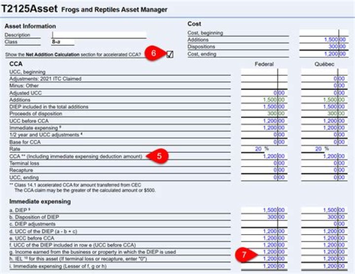 What expenses can I claim T2125?