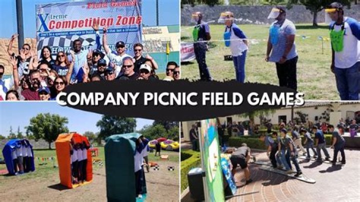 What games do people play at picnics?