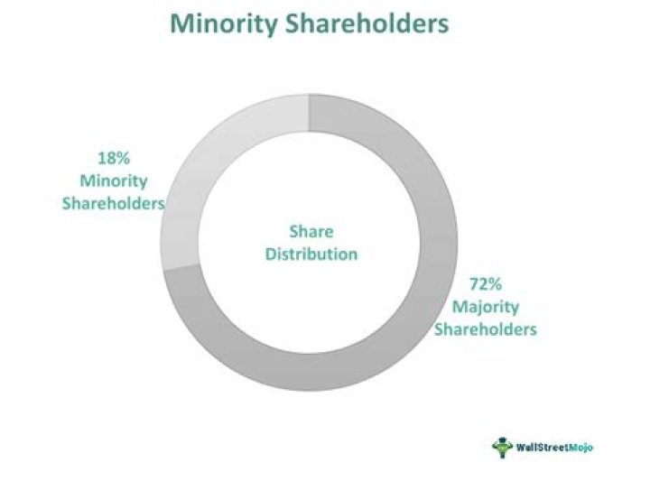 What information are minority shareholders entitled to?