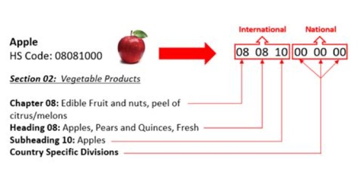 What is a 10 digit HTS code?