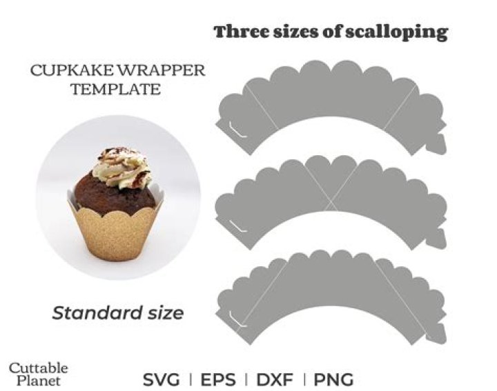 What is a cupcake wrapper made of?