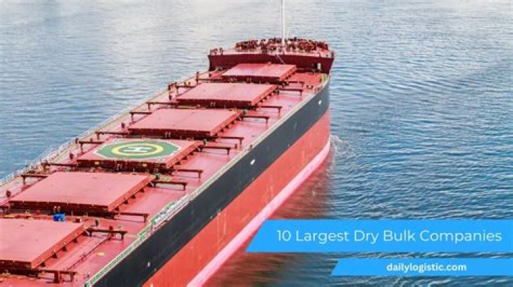 What is a dry bulk shipping company?