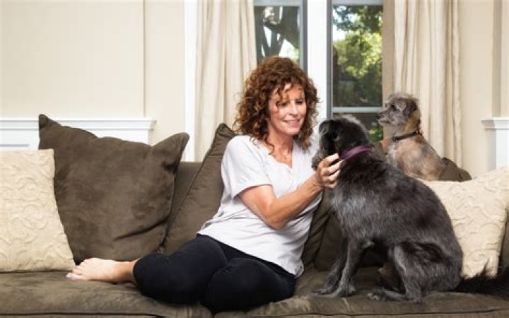 What is a fair price to pay a house sitter?
