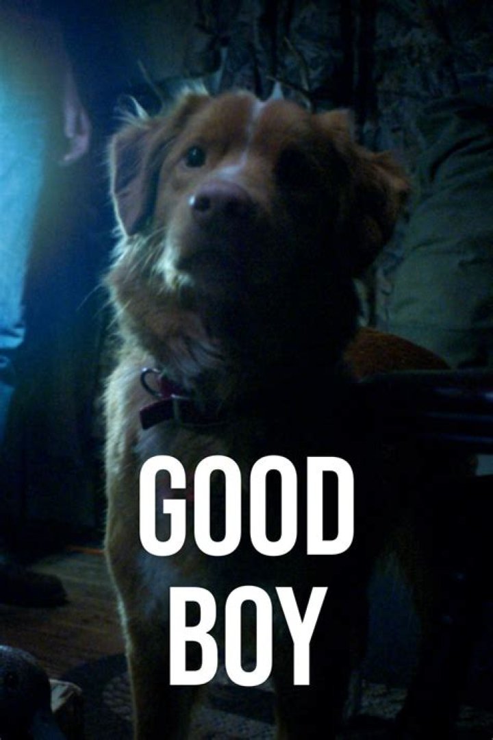 What is a good boy?