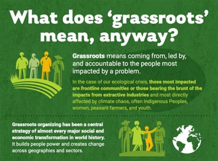 What is a grassroots in history?