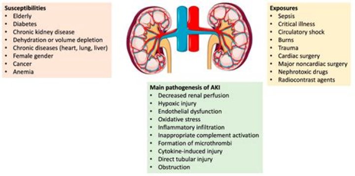 What is a kidney relapse?
