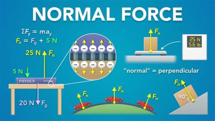 What is a normal force easy definition?