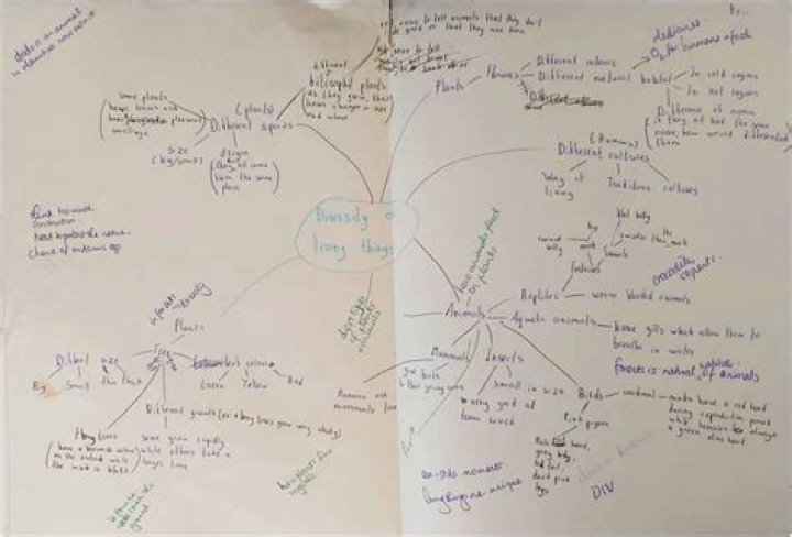 What is a personal meaning map?