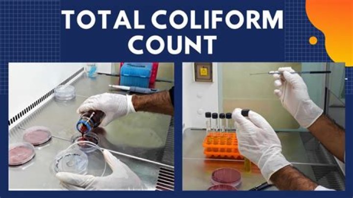 What is an acceptable coliform level?