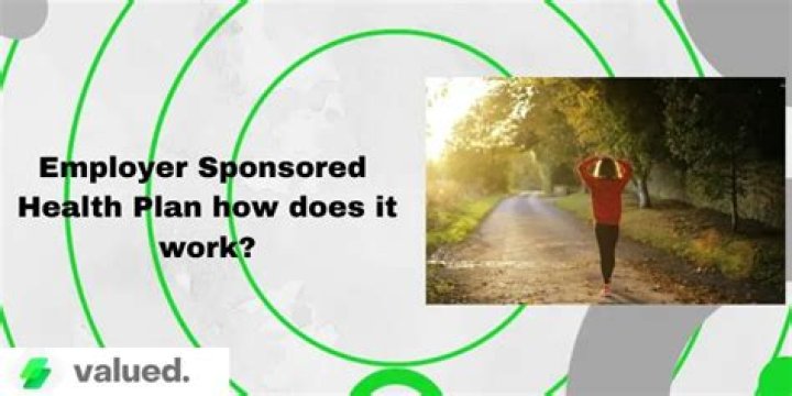 What is an employer-sponsored health plan?