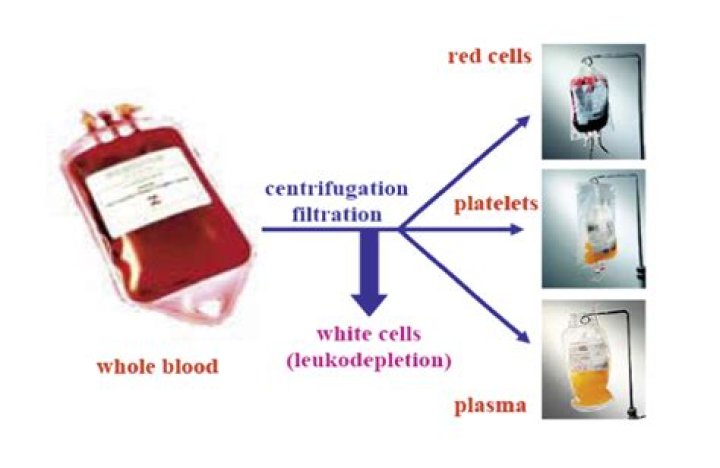 What is blood fractionation used for?