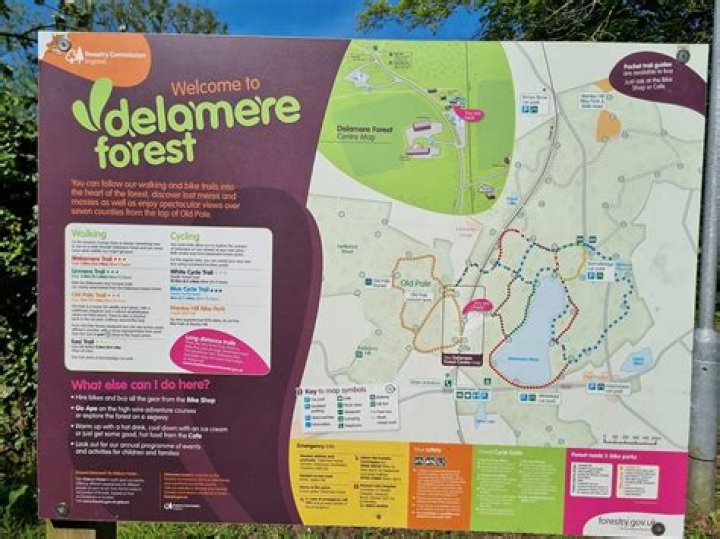 What is Delamere Forest postcode?