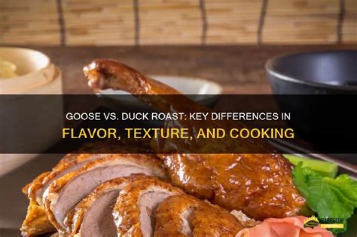 What is difference between roast duck and Peking duck?
