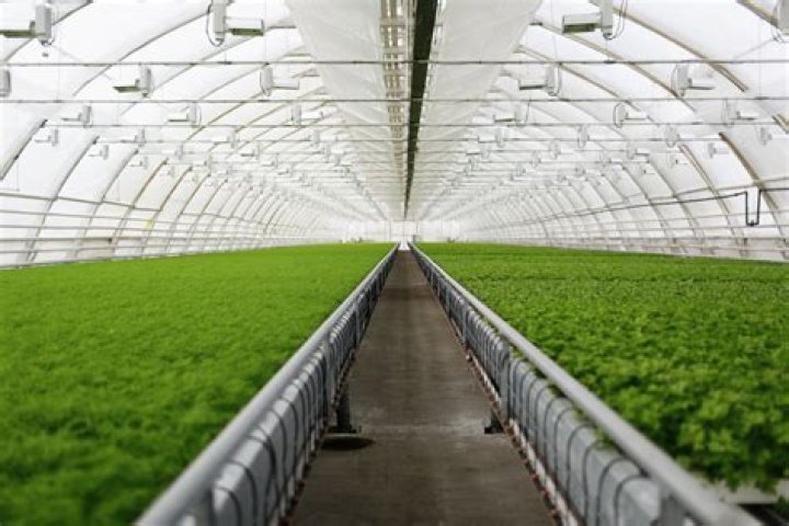 What is greenhouse in Agriculture?
