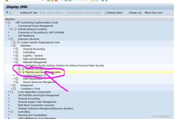 What is IMG in SAP?