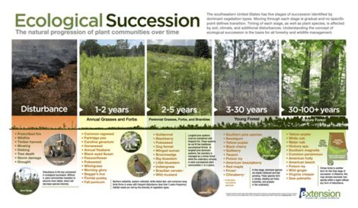 What is importance of ecological restoration?