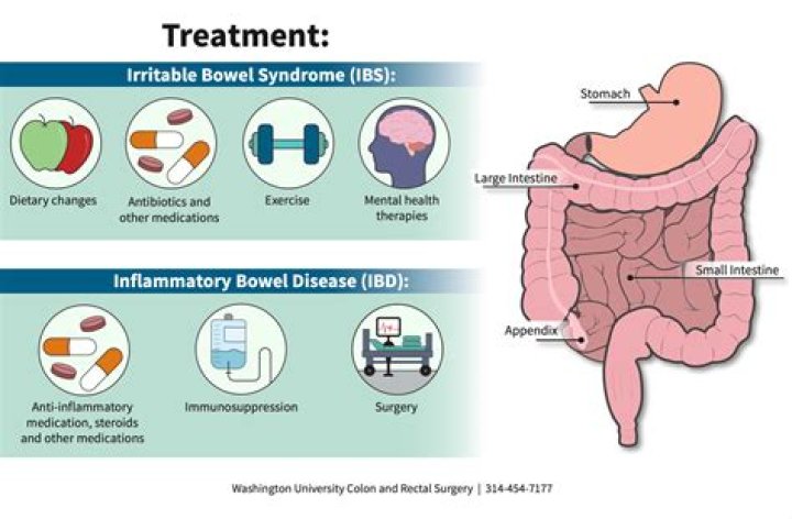 What is ischemic bowel disease?