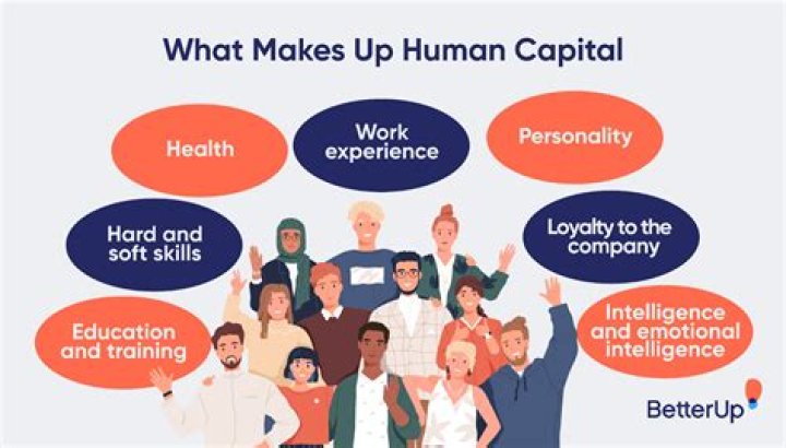 What is mapping human capital?