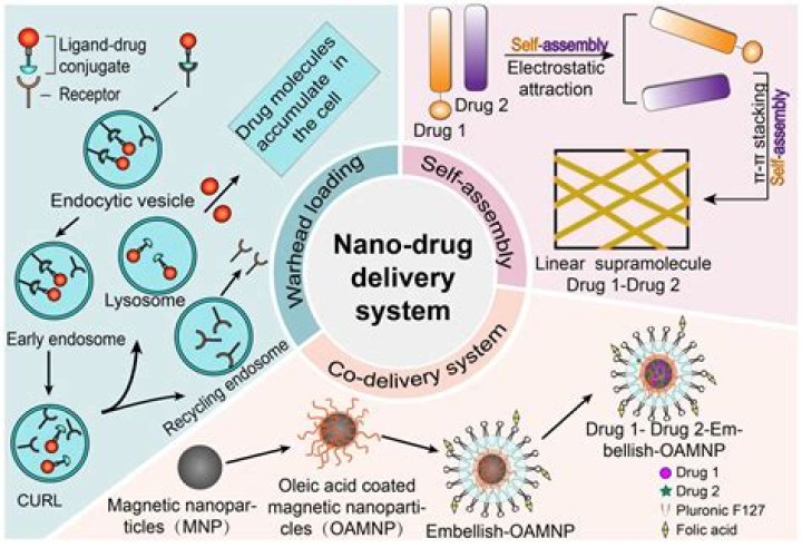 What is Nano drug delivery system?
