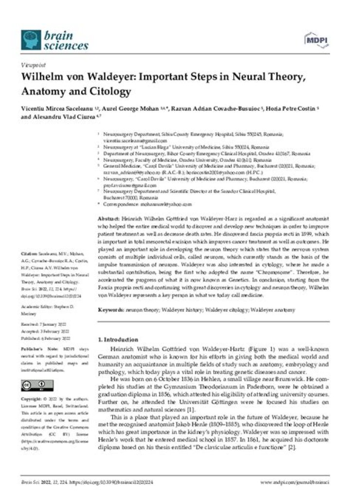 What is neuron theory of waldeyer?
