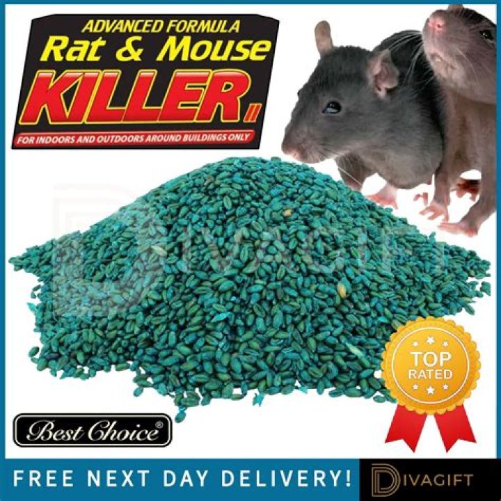 What is rat killer made of?