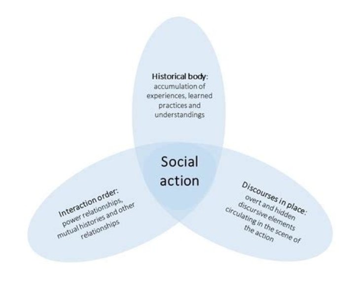 What is social action and its types?