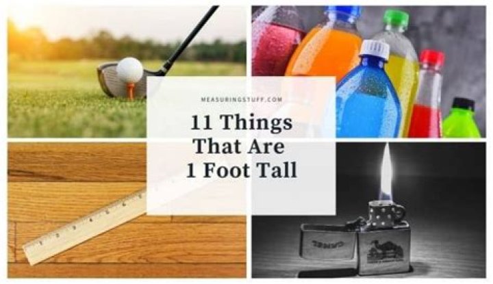 What is something that is 1 foot?