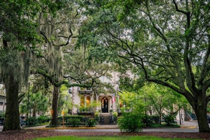 What is the best school district in Savannah Georgia?