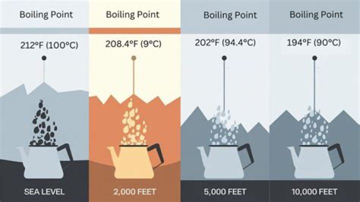 What is the boiling point of 100% benzene?