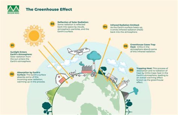 What is the conclusion for greenhouse effect?