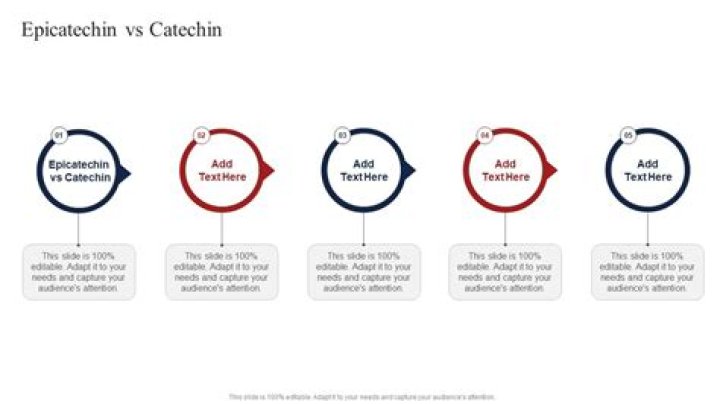 What is the difference between catechin and epicatechin?