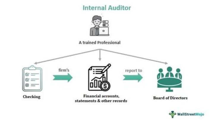 What is the duties of internal auditor?