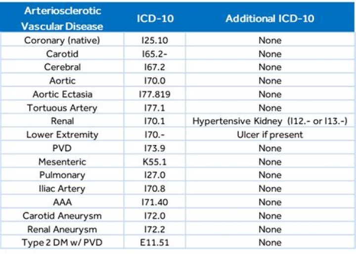 What is the ICD 10 code for Leukocytoclastic vasculitis?
