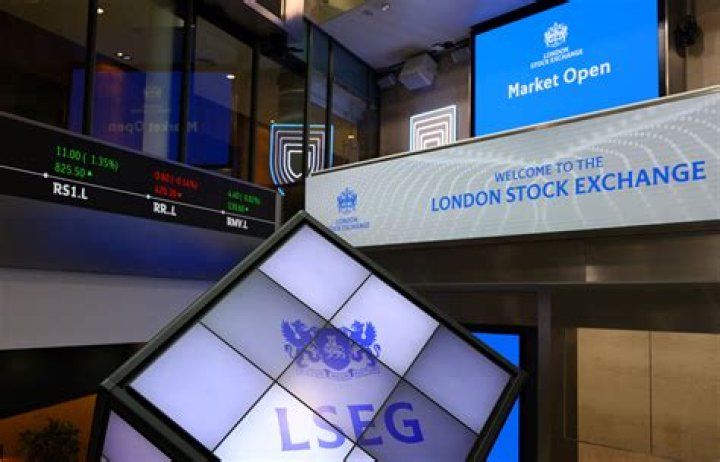 What is the London Stock Exchange Group do?