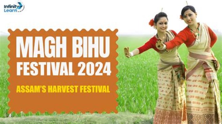 What is the main harvest festival of Assam?
