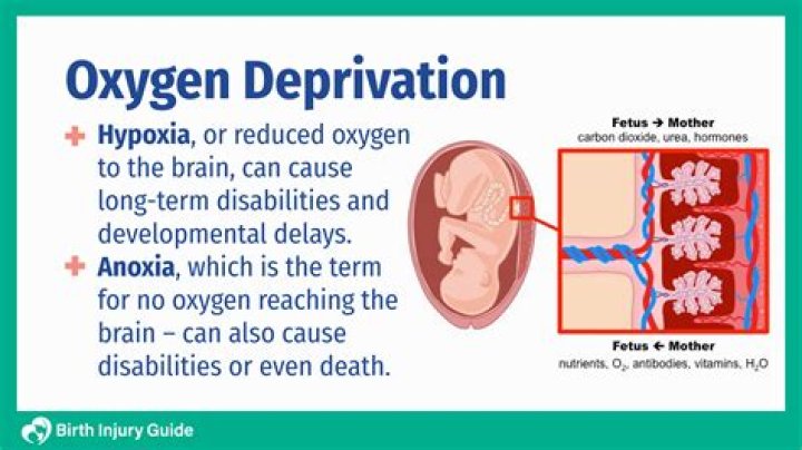 What is the meaning of fetal hypoxia?