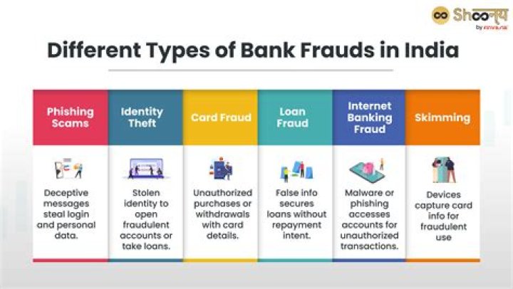 What is the meaning of Internet fraudsters?