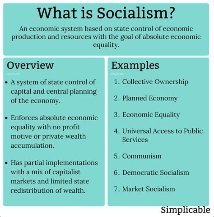 What is the meaning of socialism in business?