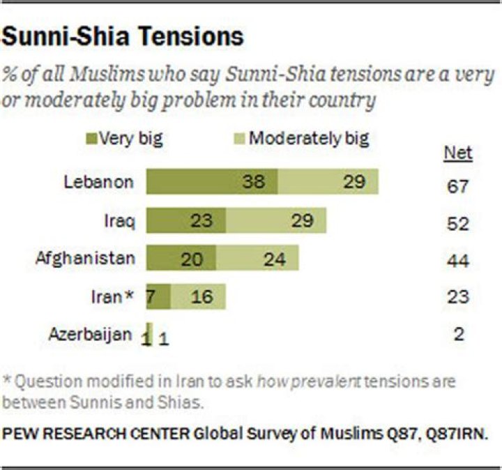 What is the percentage of Shias in Iraq?