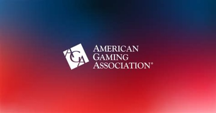 What is the purpose of the American Gaming Association?
