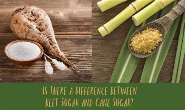 What is the seed rate of sugar beet?