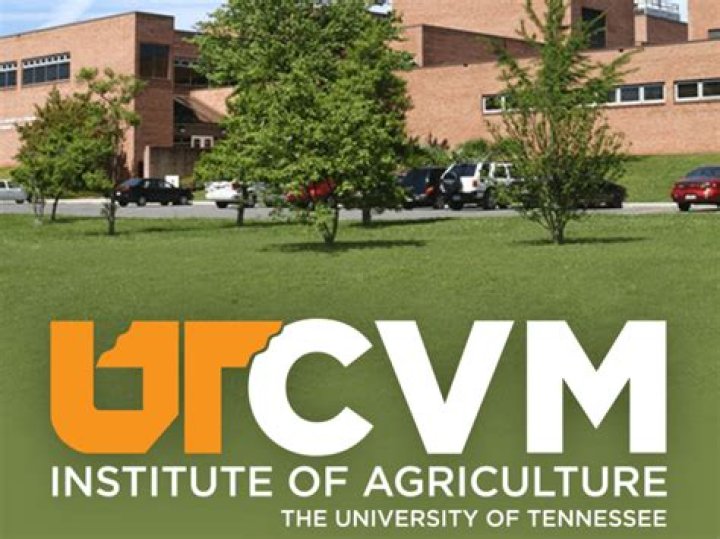 What is Utcvm?