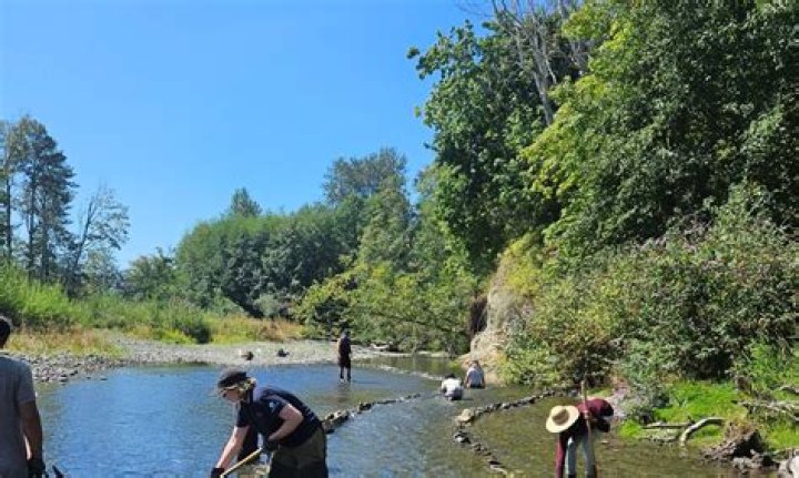What kind of fish are in the Dungeness River?