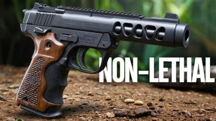 What non lethal weapons are legal in NJ?