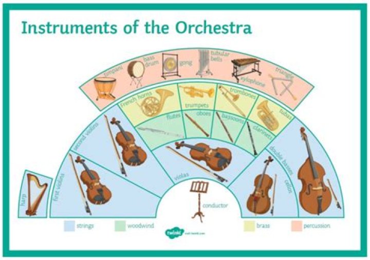 What order do instruments go on a score?