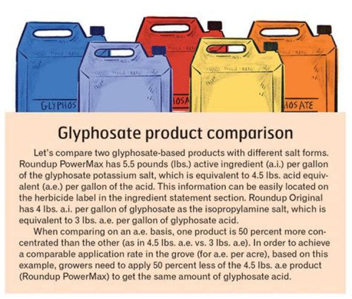What product contains the most glyphosate?