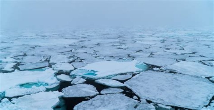 What role does Arctic sea ice play in slowing global warming?